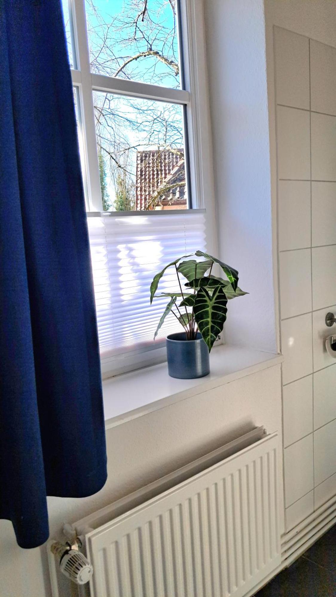 Brauner Hirsch Apartment Celle